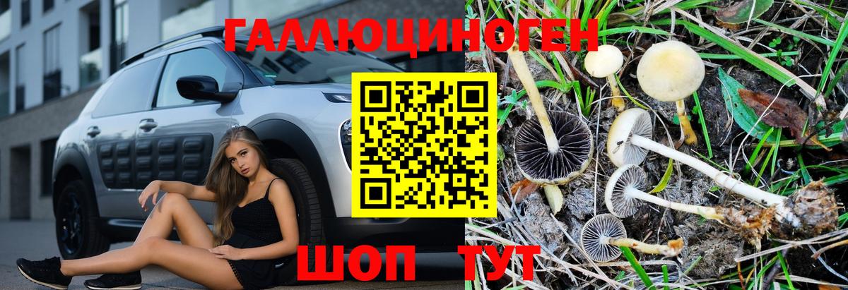Будённовск  где можно купить   Вход с VPN  Галлюциногенные грибы MAGIC MUSHROOMS 
